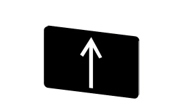 &nbsp;