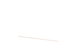 &nbsp;