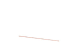 &nbsp;